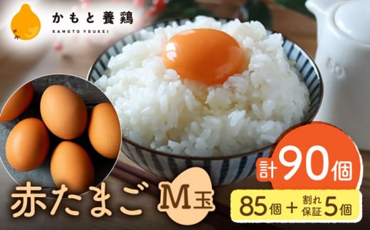 Ԃ܂ M 90i85{5ۏ؁jy_g@l {{{gz [ZCA002] ^}S ʎq F{ YiF{Rs13000Eii{AG{j