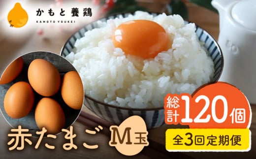 yS3ցz yϔzԂ܂ M 40 (37{ۏ3)y_g@l {{{gz [ZCA003]   { ʎqF{Rs32000Eii{AG{j