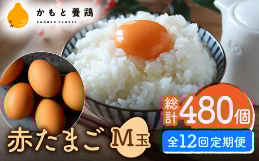 yS12ցz yϔzԂ܂ M 40 (37{ۏ3)y_g@l {{{gz [ZCA005] p   { ʎqF{Rs125000Eii{AG{j