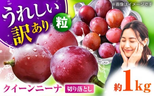 y2026Ns\z󂠂 NC[j[i Ԃǂ ؂藎Ƃ 1kg  uhE   Y F{ R ʕ  t[c lC LO uh Ly[ A Y