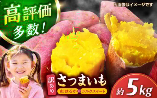 訳あり さつまいも 紅はるか or シルクスイート 蜜芋 5kg サツマイモ さつま芋 サツマ芋 薩摩芋 サイズ 大 小 5キロ 詰め合わせ 人気 名産 お芋 ねっとり しっとり 甘い 甘藷 唐芋 保存 種類 産