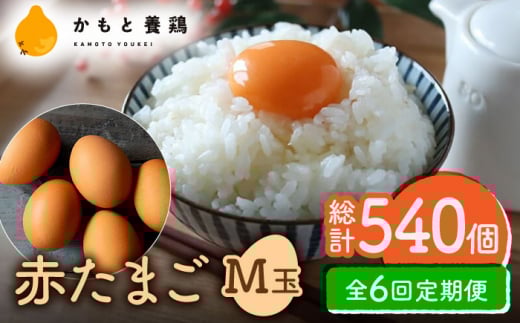 yS6ցzԂ܂ M 90i85{5ۏ؁jy_g@l {{{gz [ZCA015] { ʎq ܂ьF{Rs71000Eii{AG{j