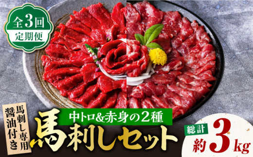【3回定期便】赤身 & 霜降りの「2種食べ比べセット 」 馬刺し 赤身 約50g×10パック 中トロ 約50g×10パック 専用醤油付き 国産 馬刺し赤身 国内肥育 霜降り中トロ 約1キロ たっぷり 熊本 ばさし