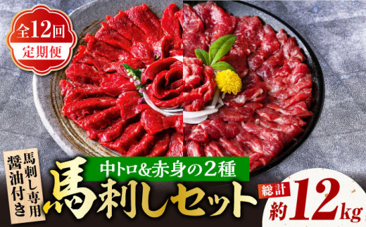 【12回定期便】赤身 & 霜降りの「2種食べ比べセット 」 馬刺し 赤身 約50g×10パック 中トロ 約50g×10パック 専用醤油付き 国産 馬刺し赤身 国内肥育 霜降り中トロ 約1キロ たっぷり 熊本 ばさし