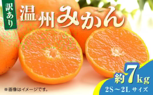 ys\zB݂7kg@2S`2LTCY@y܂ӂz [ZBG050]F{Rs11000ʕEt[c݂Ek