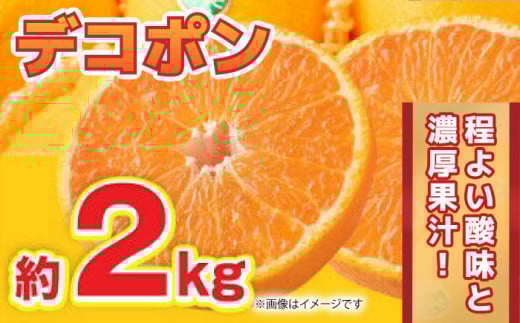 ys\zfR| 2kg 6ʁ`8 y܂ӂz [ZBG060]F{Rs11000ʕEt[c݂Ek