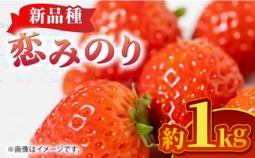 ys\ẑ݂ 1kgy܂ӂz  C`S ① ܂ F{ F{ Yi  [ZBG062]F{Rs14000ʕEt[c