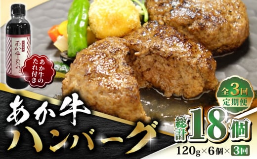 yS3ցz 100no[O Zbg 120g×6yL O{Yz Ԑg ԋ   јa  Ⓚ Y   no[OZbg  [ZEB049]F{Rs52000