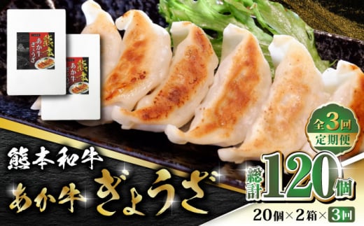 yS3ցzF{a 傤 20×2yL O{Yz  јa  Ⓚ Y  Lq 傤 MEU F{a  [ZEB060]F{Rs38000