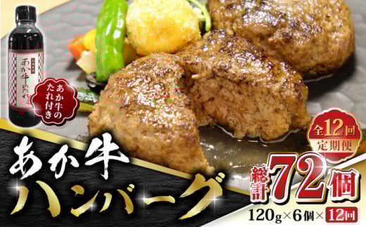 yS12ցz 100no[O Zbg 120g×6yL O{Yz  ԋ   јa  Ⓚ Y   [ZEB083]F{Rs206000
