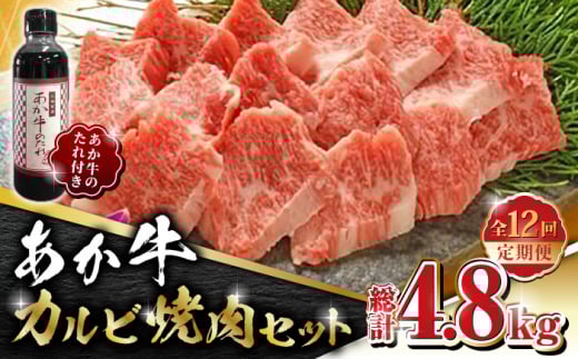 yS12ցz Jr ēZbg 400g ̂tyL O{Yz Ԑg ԋ   јa  Ⓚ Y  ē   [ZEB085]F{Rs240000