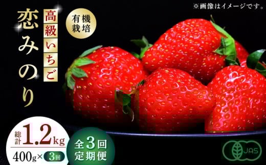 ys\zy3ցz  ݂̂ 400gi200g×2pcjyɓ_z C`S    I[KjbN  [ZBB008]F{Rs47000ʕEt[c