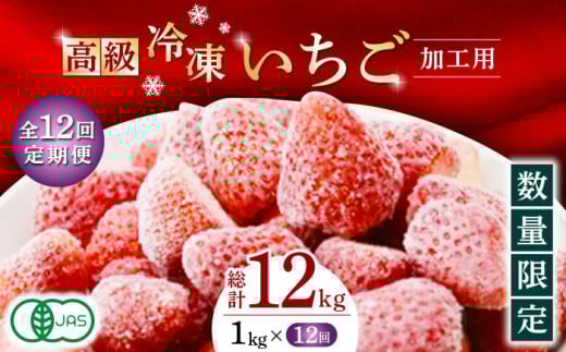 y12ցz Ⓚ   Hp 1kgi500g×2܁jyɓ_zC`S   F{ Yi I[KjbN  [ZBB017]F{Rs148000ʕEt[c