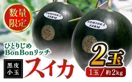 【先行予約】ひとりじめBonBonリッチ〜黒皮小玉 スイカ 2玉〜 西瓜 小玉すいか くまもと 果物  熊本県産 すいか スイカ 小玉 熊本県 名産 黒 ブラック フルーツ 旬 甘い ひとりじめ シャリシャ