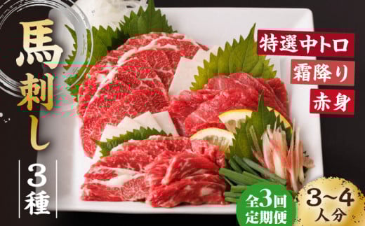 【3回定期便】馬刺し バラエティセット 3種類 〜3・4人前〜 +タレ小 馬刺し 食べ比べ セット 特選霜降り馬刺し 霜降り馬刺し 馬刺し 馬肉 桜肉 馬 肉 霜降り 中トロ 赤身 タレ付き 冷凍 生食
