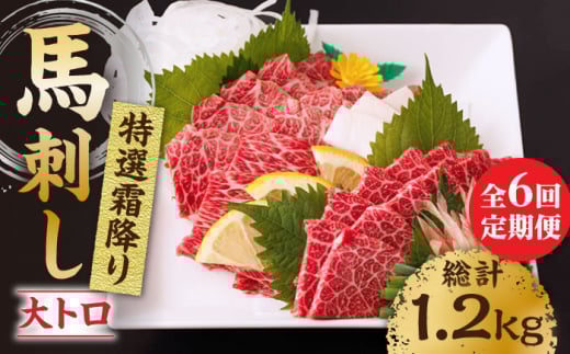 【6回定期便】特選霜降り馬刺し(大トロ)計200g(2pc)+タレ小 馬刺し 特選霜降り馬刺し 馬肉 桜肉 馬 肉 特選 霜降り 大トロ 便利 小分け 2パック タレ付き 冷凍 生食 肉食 刺身 九州 熊本
