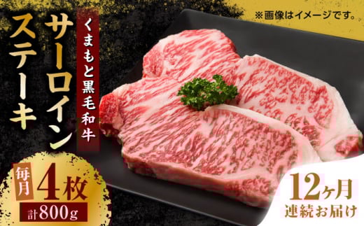 y12ցz܂ƍјa T[CXe[L v800gi4jynh̋ z Xe[L T[C q ~ F{ F{   [ZBL109]F{Rs680000