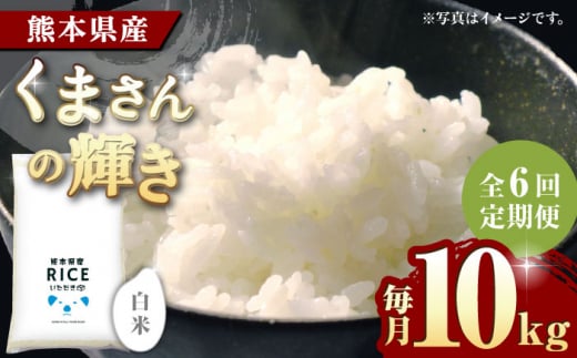 yS6ցz܂̋P  10kgy  _YxXgp[gi[z10kg  A ܂̋P R   F{ F{Y ͂   [ZBP105]F{Rs167000āEp