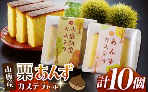 JXeZbg RaI &  v10 yЂ񂸁z [ZBT003]F{Rs10000ʕEt[c̑ ʕEt[c