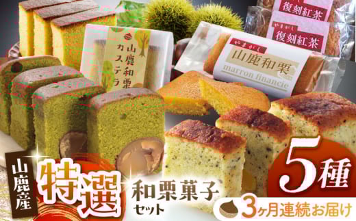 y3ցzaIIَqZbg yЂ񂸁z [ZBT005]F{Rs64000ʕEt[c̑ ʕEt[c