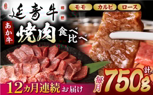 y12ցzF{Y   Ăp Hה  750gyL BHYƁz [ZDQ136]F{Rs375000