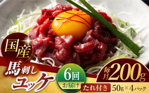 y6ցz Y nh bP v200g i50g×4pbNjyLЃXC[gTvCȂ́z [ZBV049]F{Rs72000WrG