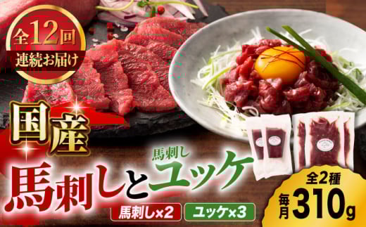 y12ցzYnh  bP ̃Zbg 3585 [ZDT099]F{Rs256000WrG