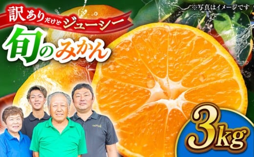 ys\zy󂠂zƒp ݂ 3kg lߍ킹 ky Еz [ZBZ020]F{Rs7000ʕEt[c݂Ek