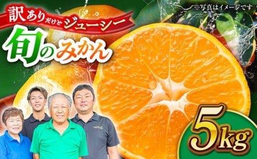 ys\zy󂠂zƒp ݂ 5kg lߍ킹 ky Еz [ZBZ021]F{Rs11000ʕEt[c݂Ek