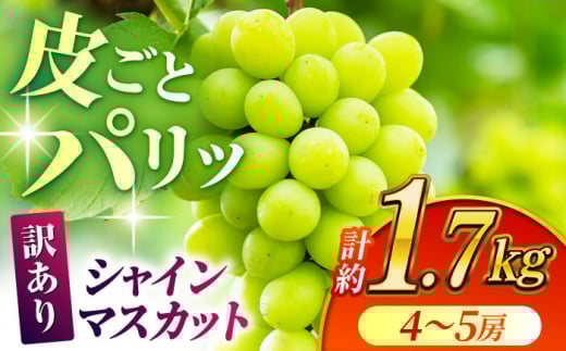 ys\zy󂠂z VC}XJbg 1.7kg(4`5[)y Еz [ZBZ031]F{Rs17000ʕEt[c}XJbgEԂǂ