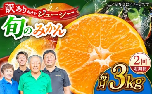 ys\zy2ցzy󂠂zƒp ݂ 3kg lߍ킹 ky Еz [ZBZ033]F{Rs13000ʕEt[c݂Ek