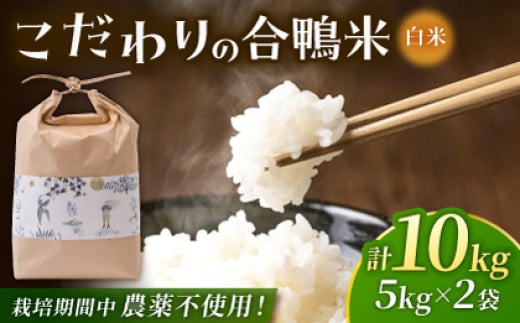  5kg×2 v10kg yyz [ZAR027]F{Rs33000āEp