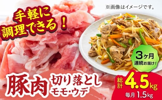 y3ցzؓ؂藎ƂiEEfʎwȂj1.5kgi300g×5pcjygz [ZEW084]F{Rs39000ؓ