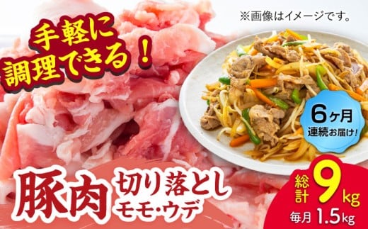 y6ցzؓ؂藎ƂiEEfʎwȂj1.5kgi300g×5pcjygz [ZEW085]F{Rs77000ؓ