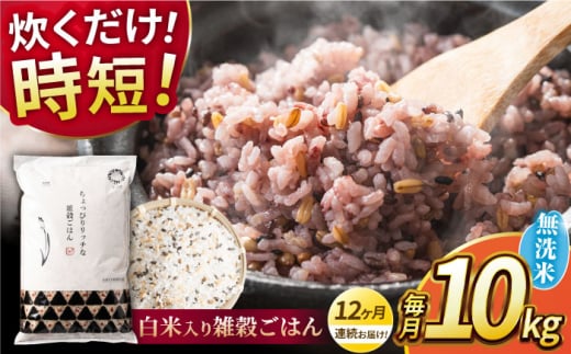 yS12ցzsv G͂  10kg y _YxXgp[gi[z [ZBP152]F{Rs337000āEpāEGāEāE