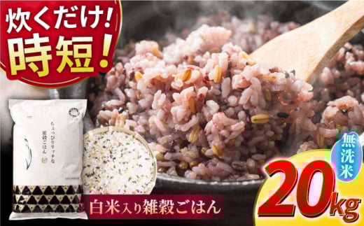 sv G͂  20kg y _YxXgp[gi[z [ZBP153]F{Rs55000āEpāEGāEāE