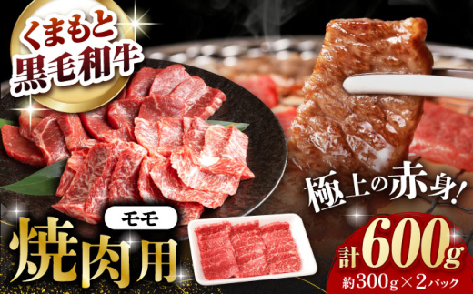 F{Y јa  ēp 600g(300g×2pc)yL BHYƁz [ZDQ157]F{Rs20000
