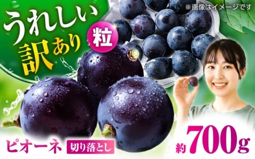 ys\z 󂠂 sI[l Ԃǂ ؂藎Ƃ 700g  y Еz [ZBZ037]F{Rs8000ʕEt[c}XJbgEԂǂ