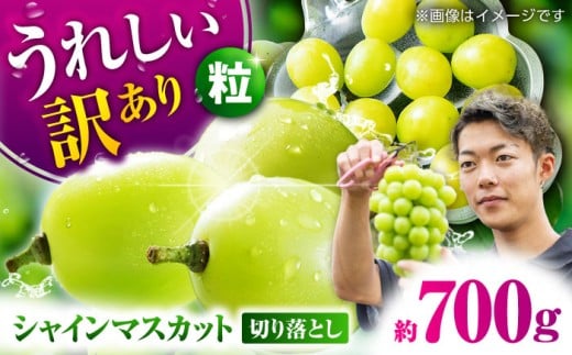 ys\z 󂠂 VC}XJbg ؂藎Ƃ 700g  y Еz [ZBZ038]F{Rs9000ʕEt[c}XJbgEԂǂ