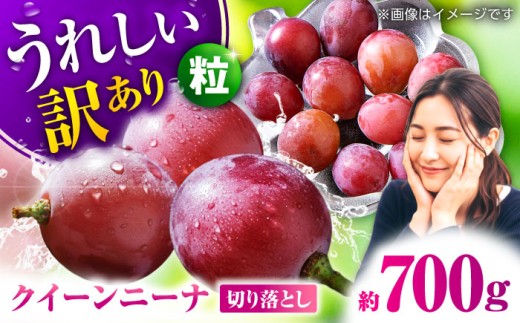 y2026Ns\z󂠂 NC[j[i Ԃǂ ؂藎Ƃ 700g  y Еz [ZBZ039]F{Rs11000ʕEt[c}XJbgEԂǂ