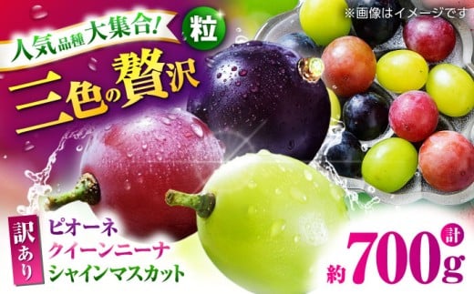 ys\z 󂠂 Ԃǂ3 Hה ؂藎Ƃ v700g  y Еz [ZBZ040]F{Rs11000ʕEt[c}XJbgEԂǂ