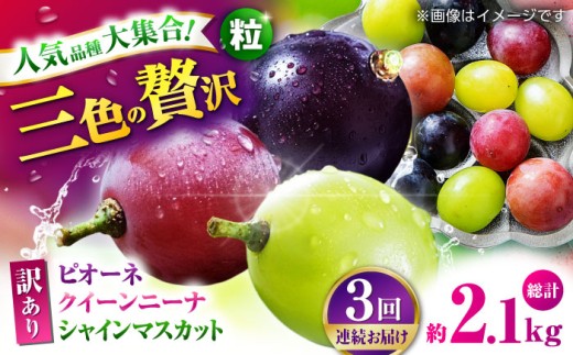 ys\z@y3ցz 󂠂 ႤԂǂ͂I Ԃǂ3 Hה ؂藎Ƃ 700g y Еz [ZBZ048]F{Rs33000ʕEt[c}XJbgEԂǂ