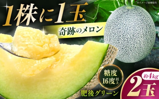 ys\z  O[  4kgi2ʁj yƂ݂_z [ZEM006]F{Rs16000ʕEt[cEXCJ