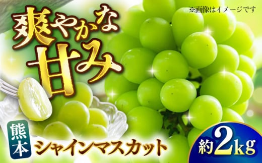 ys\zVC}XJbg 2kg }XJbg uhE  t[c ʕ y{t[cЁz [ZFJ010]F{Rs20000ʕEt[c}XJbgEԂǂ