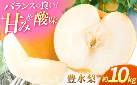 ys\zL@10kg   iV t[c ʕ y{t[cЁz [ZFJ014]F{Rs30000ʕEt[c