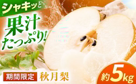 ys\zH@5kg   iV t[c ʕ y{t[cЁz [ZFJ015]F{Rs16000ʕEt[c