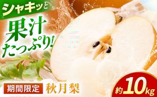 ys\zH@10kg   iV t[c ʕ y{t[cЁz [ZFJ016]F{Rs30000ʕEt[c