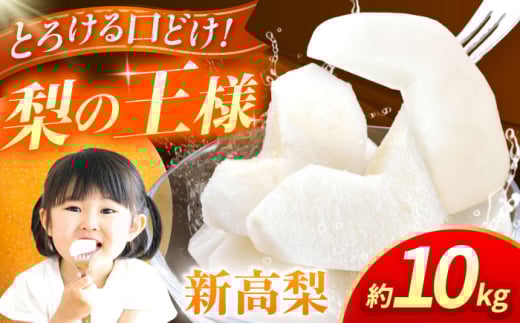 ys\zV@10kg   iV t[c ʕ y{t[cЁz [ZFJ018]F{Rs30000ʕEt[c