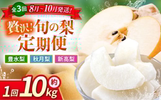 ys\zy3ցz  10kg v30kgiLEHEVj   iV t[c ʕ y{t[cЁz [ZFJ025]F{Rs84000ʕEt[c
