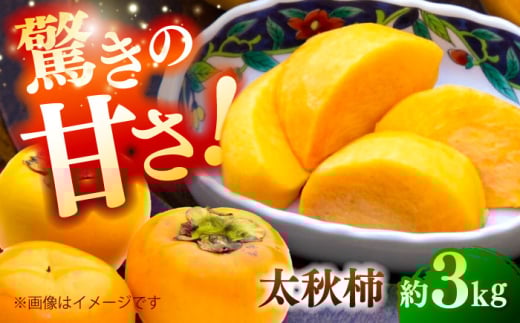 ys\zH` 3kg ` JL t[c ʕ H y{t[cЁz [ZFJ020]F{Rs16000ʕEt[c̑ ʕEt[c